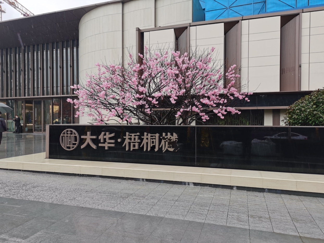 实景图