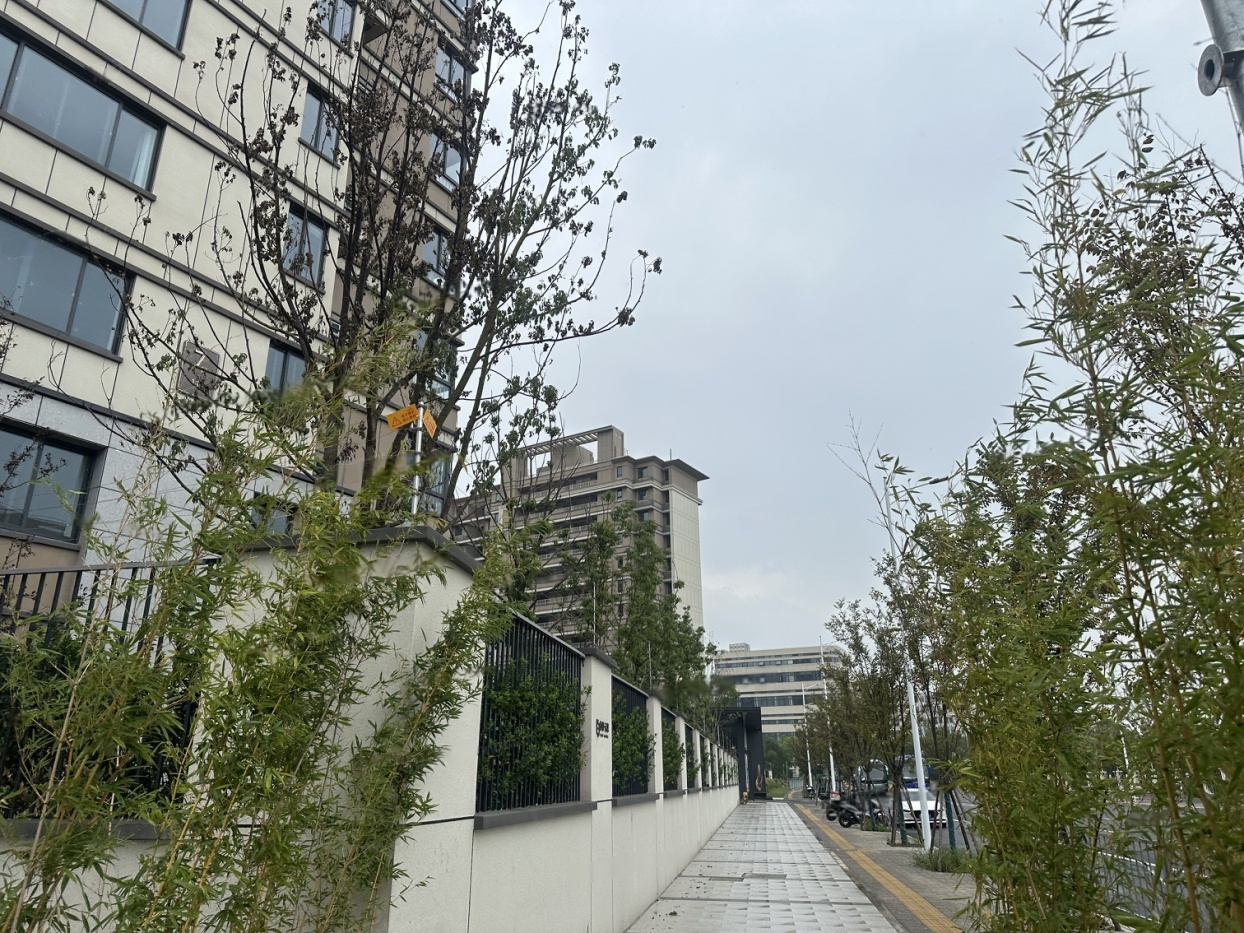 实景图