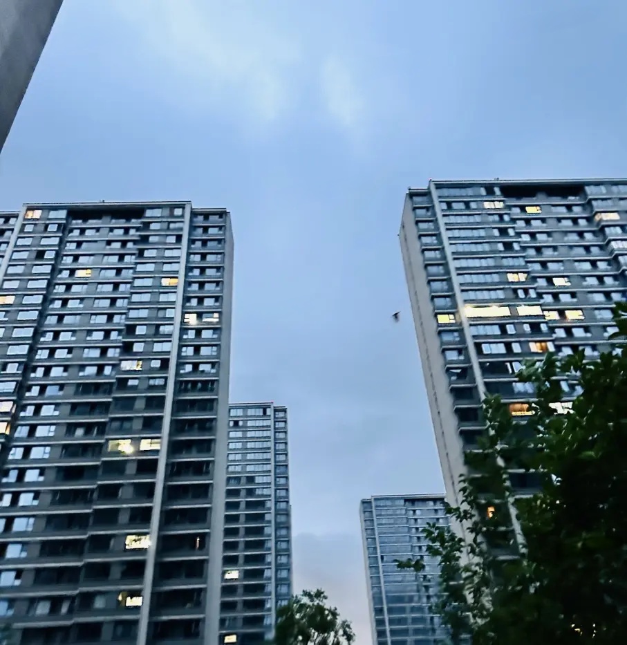 实景图