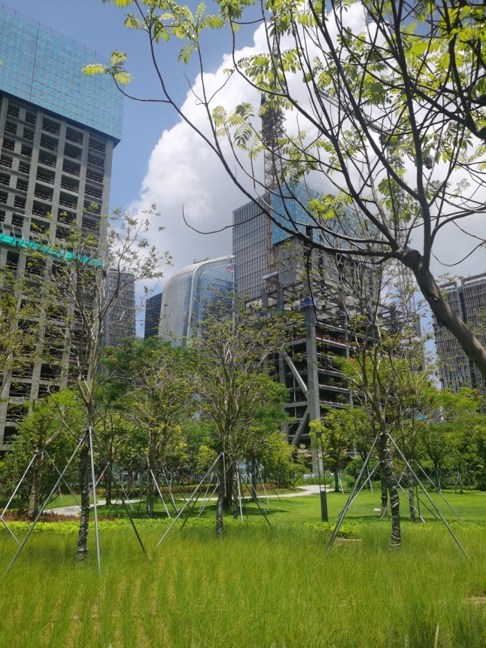 实景图