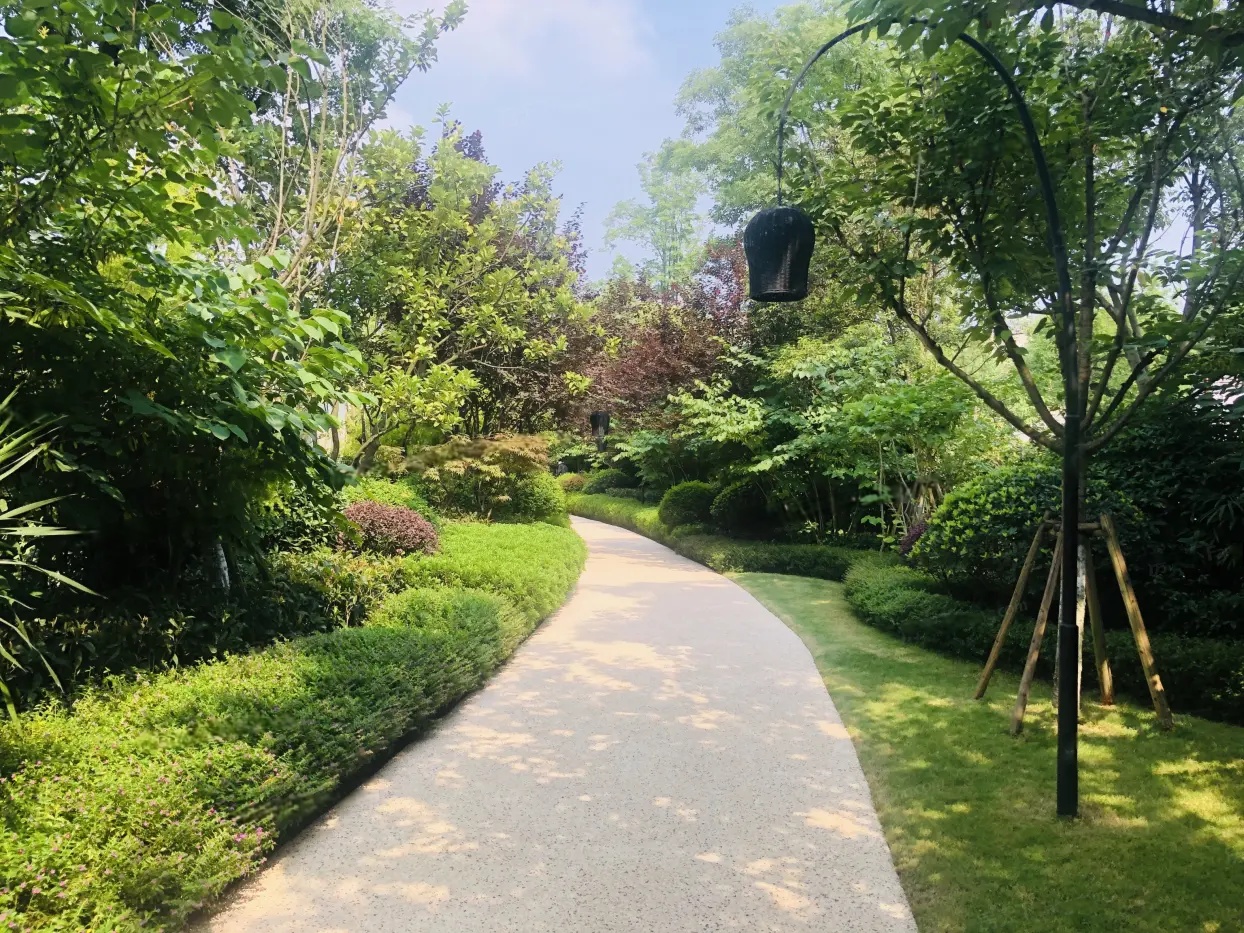 实景图